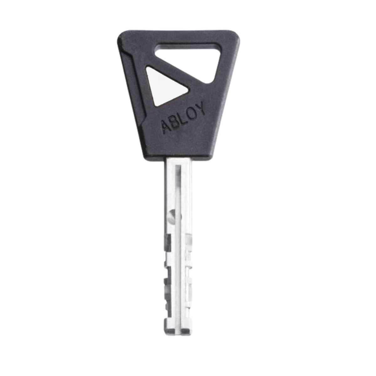 Disklock Key
